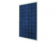 FV panel Jinko Solar 265 Wp