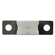 MEGA-pojistka 100A/80V Victron Energy