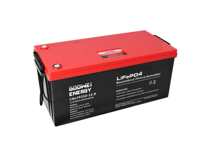 GOOWEI ENERGY LiFePO4 batéria CNLFP250-12.8 250 Ah / 12,8 V s integrovanou BMS