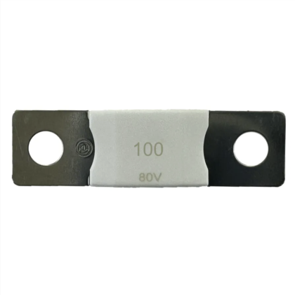 MEGA-pojistka 100A/80V Victron Energy